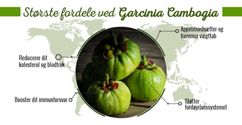 garcinia combogia fordele -> køb her -> tab dig :)